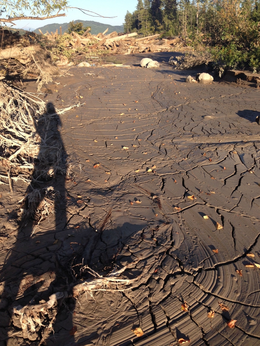 Photos I Went To The Mount Polley Mine